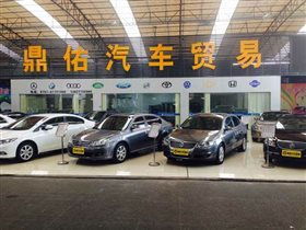 鼎佑汽车信息咨询部 广东汽车信息咨询服务的专业典范