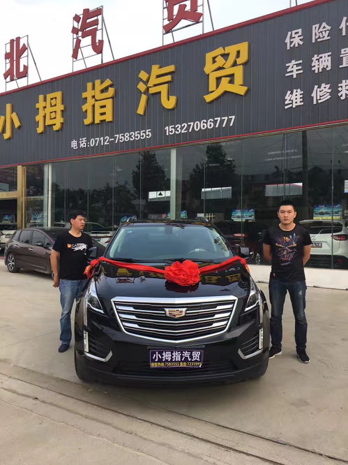 大悟小拇指汽贸 专业汽车信息咨询服务指南